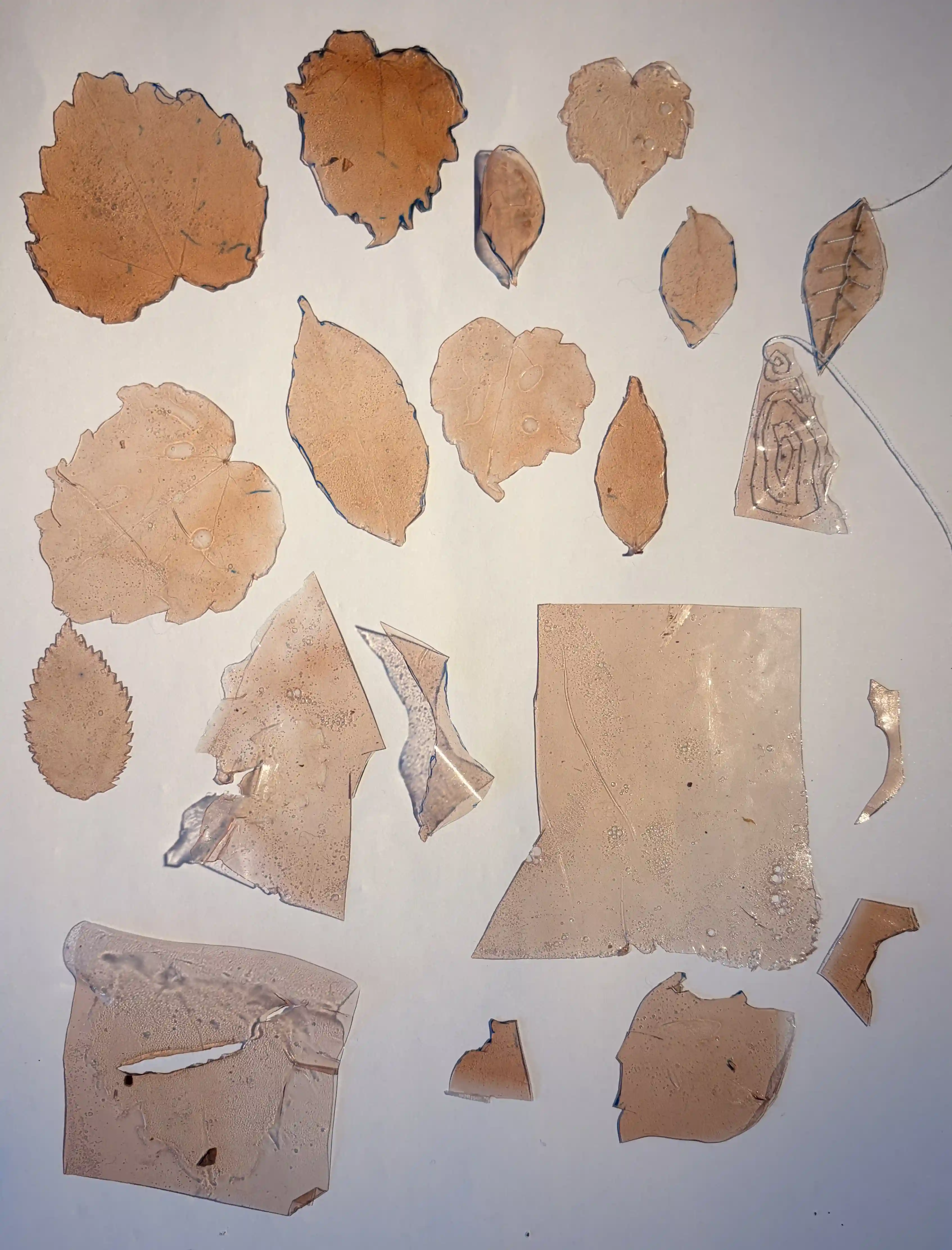 Obra 6